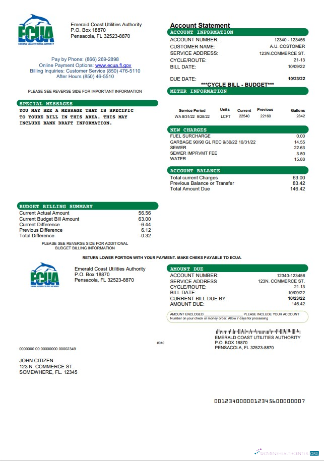 download download USA ECUA utility bill template in Word and PDF format PDF template PDF template